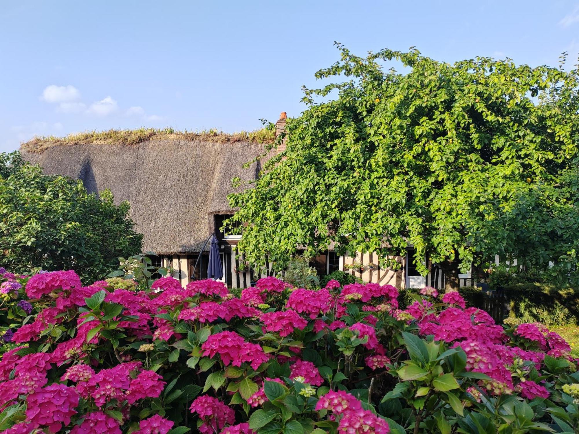 La Maraiquaise Villa Marais-Vernier Eksteriør bilde